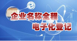 吉林省企业名称全程电子化登记系统
