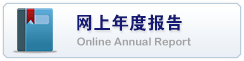 网上年度报告
